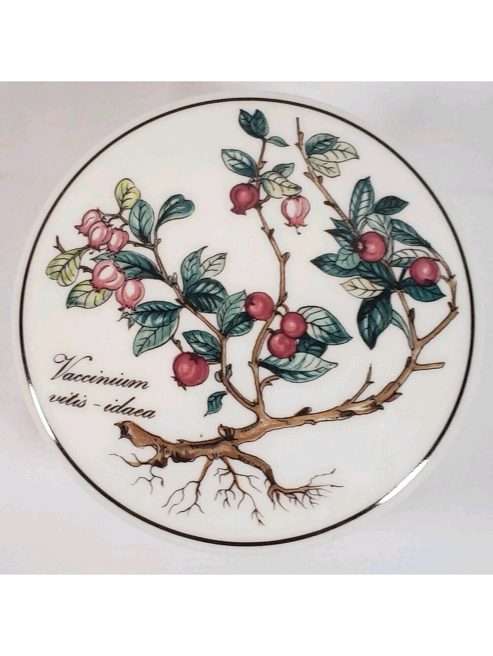 Villeroy & Boch Botanica Vaccinium Vitis Idaea Lingonberry Trinket Box 4"